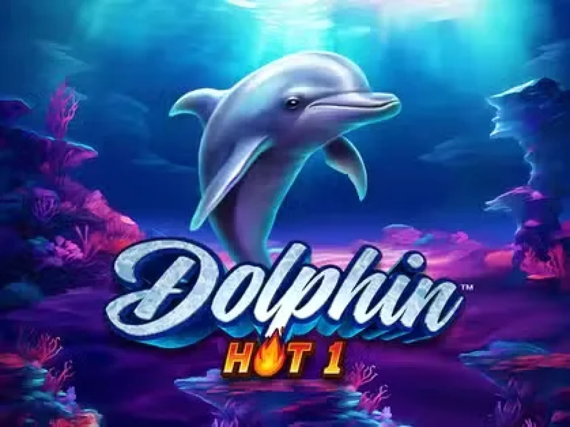 dolphin hot 1